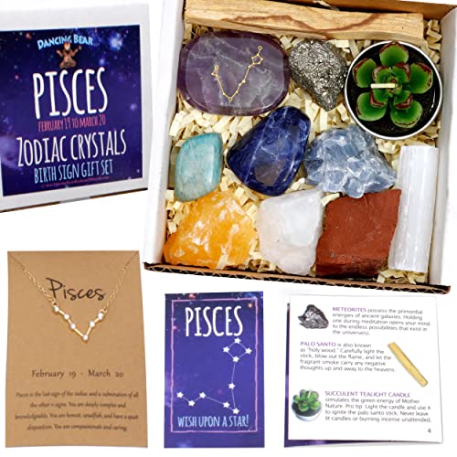 DANCING BEAR Pisces Zodiac Healing Crystals Gift Set (14 Pc): 9 Stones, 18K Gold-Plated Constellation Necklace, Meteorite, Succulent Candle, Palo Santo Smudge Stick, and Info Guide, Made in The USA