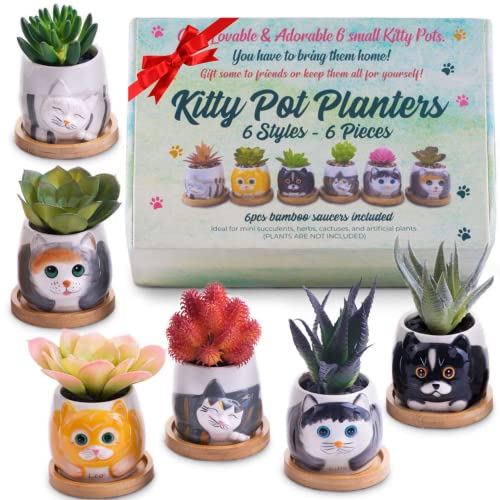 Keep On Planting Cat Gifts for Women, Cat Gifts for Cat Lovers - Cat Decor 6 Pack Cat Planter Pot - Cat Lover Gifts for Women - Cat Mom Gifts for Women